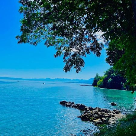 Appartement Le Leman Excénevex Dış mekan fotoğraf