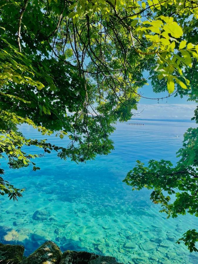 Appartement Le Leman Excénevex Dış mekan fotoğraf