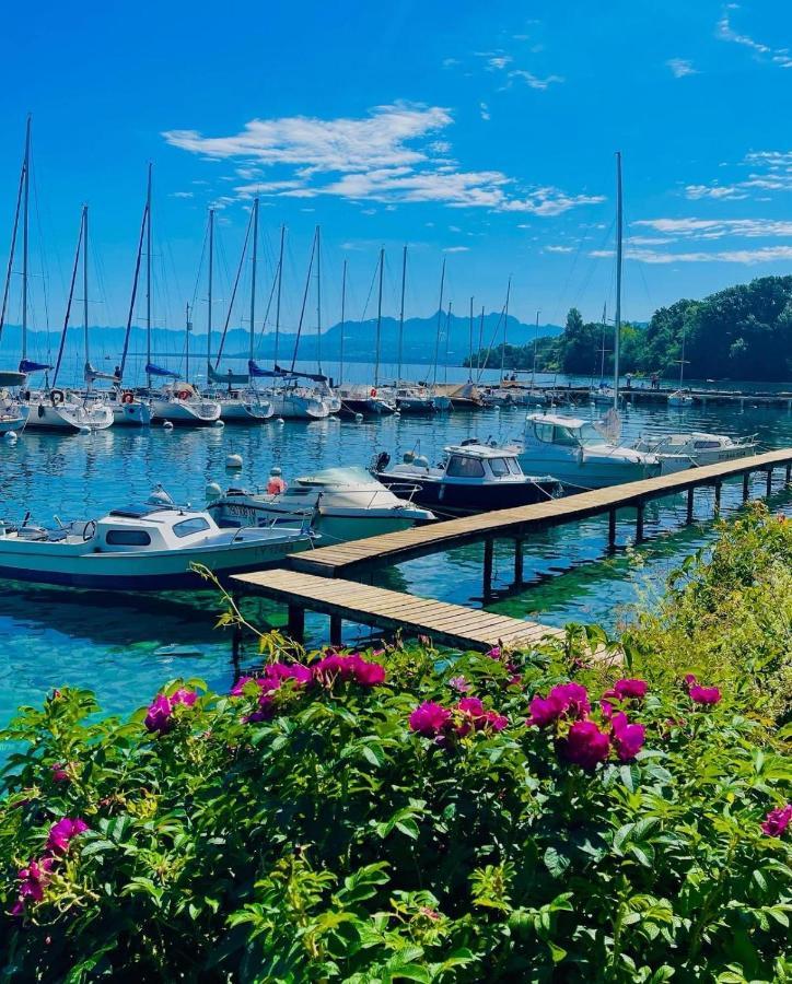 Appartement Le Leman Excénevex Dış mekan fotoğraf