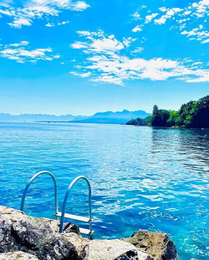 Appartement Le Leman Excénevex Dış mekan fotoğraf