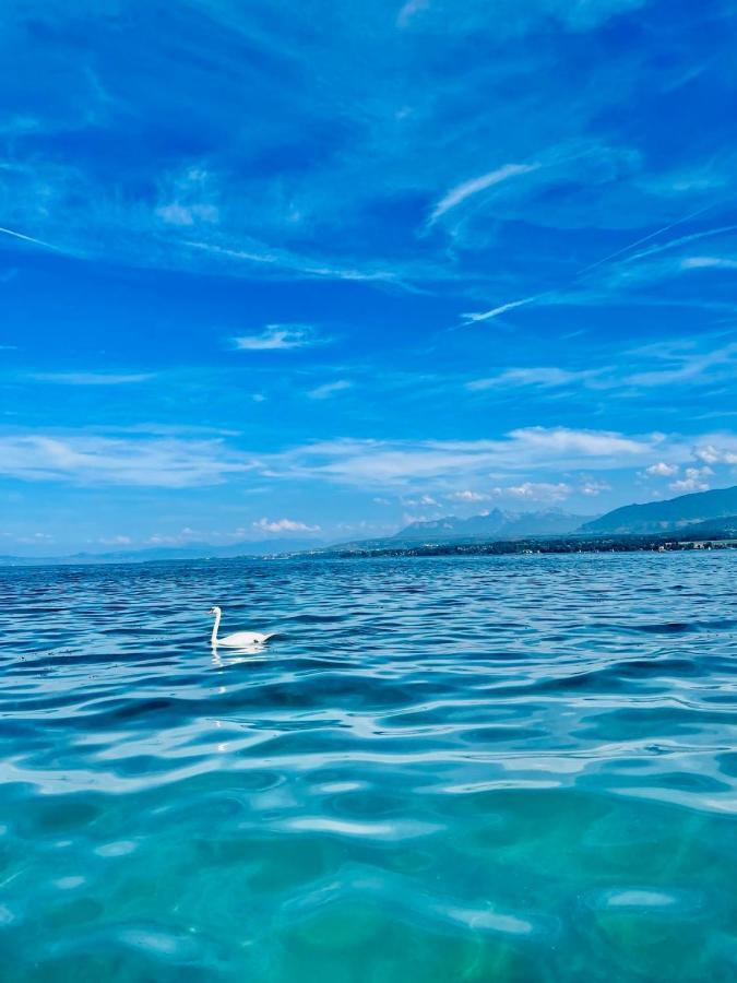 Appartement Le Leman Excénevex Dış mekan fotoğraf
